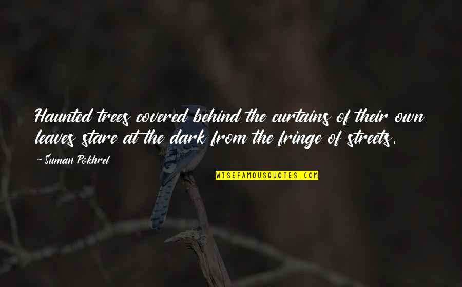 Oute Quotes By Suman Pokhrel: Haunted trees covered behind the curtains of their Oute Quotes By Suman Pokhrel: Haunted trees covered behind the curtains of their