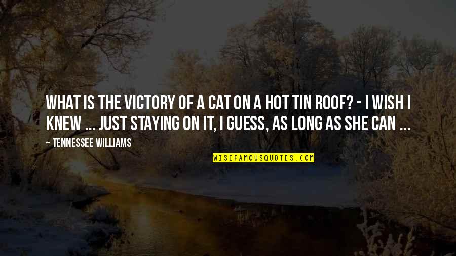 Outfitting Kayak Quotes By Tennessee Williams: What is the victory of a cat on Outfitting Kayak Quotes By Tennessee Williams: What is the victory of a cat on