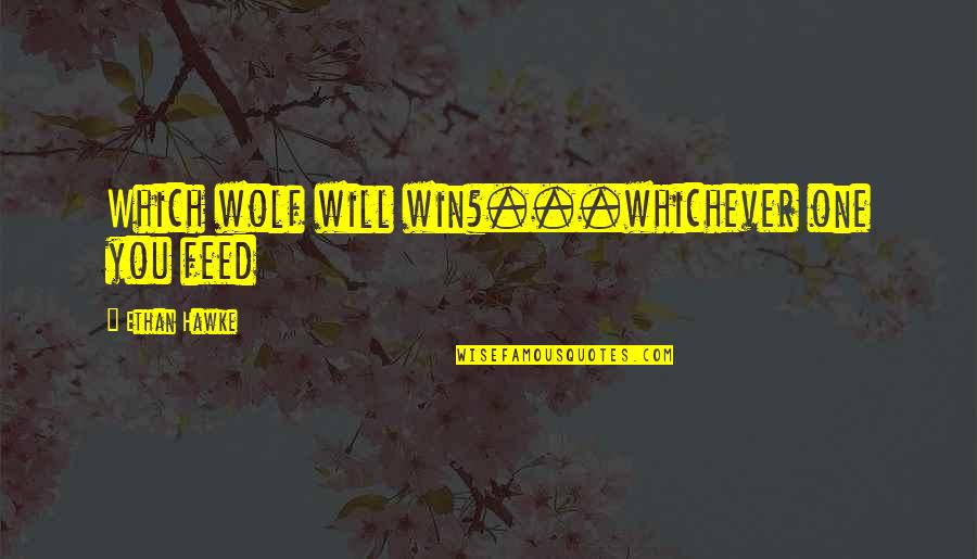 Outlandish Quotes By Ethan Hawke: Which wolf will win?...whichever one you feed