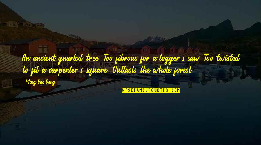 Outlasts Quotes By Ming-Dao Deng: An ancient gnarled tree: Too fibrous for a Outlasts Quotes By Ming-Dao Deng: An ancient gnarled tree: Too fibrous for a