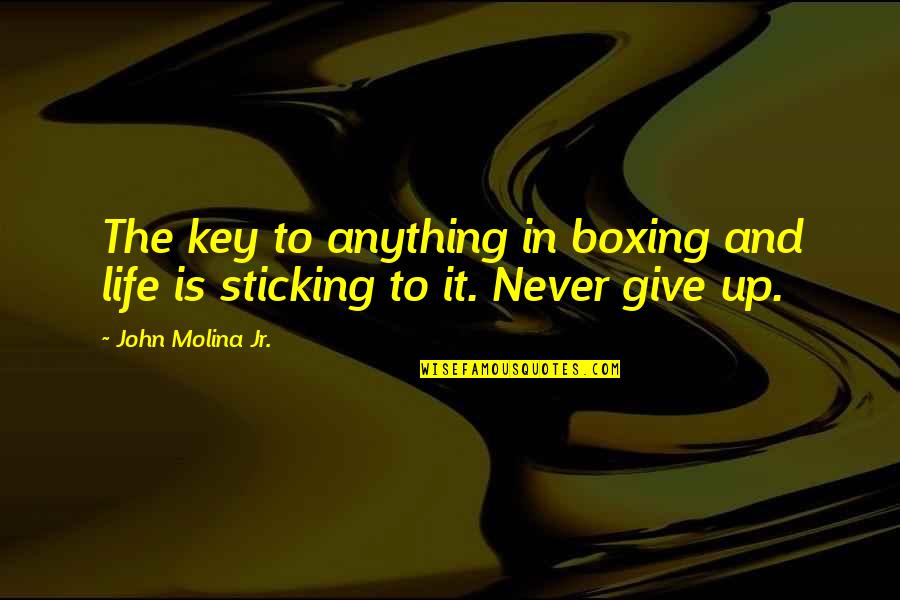 Outlined Star Quotes By John Molina Jr.: The key to anything in boxing and life Outlined Star Quotes By John Molina Jr.: The key to anything in boxing and life