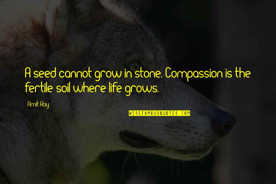 Outlook In Life Quotes By Amit Ray: A seed cannot grow in stone. Compassion is