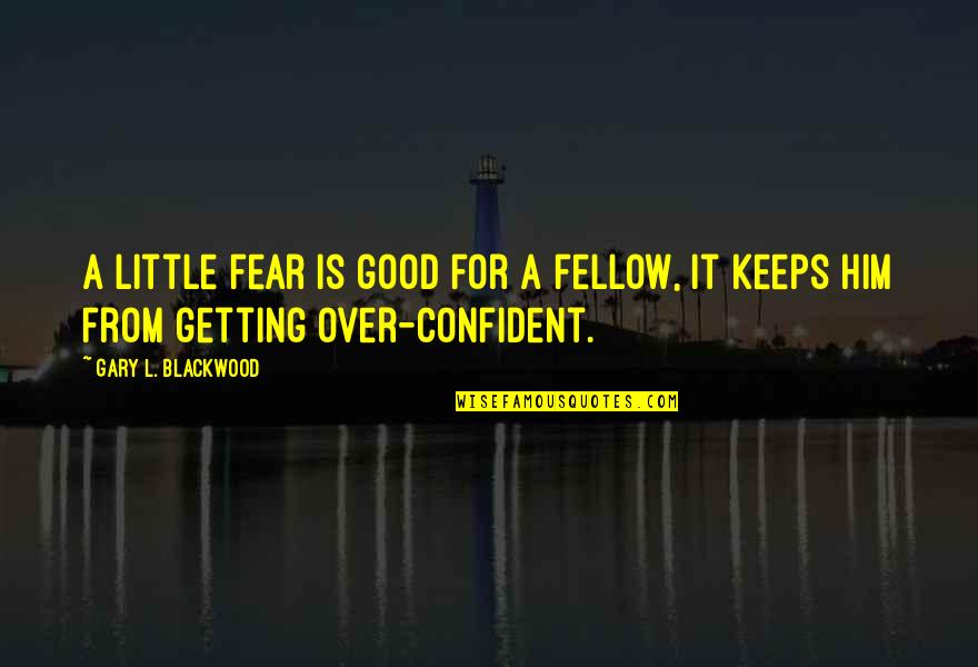 Outnumbering The Day Lyrics Quotes By Gary L. Blackwood: A little fear is good for a fellow, Outnumbering The Day Lyrics Quotes By Gary L. Blackwood: A little fear is good for a fellow,