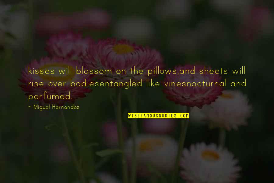 Outpractice Quotes By Miguel Hernandez: kisses will blossom on the pillows,and sheets will