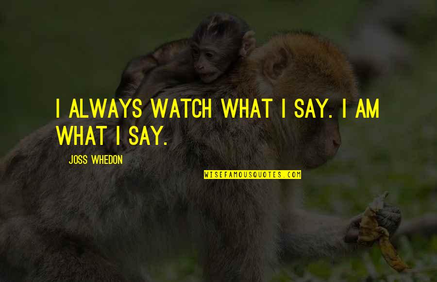 Outrageous Funny Quotes By Joss Whedon: I always watch what I say. I am