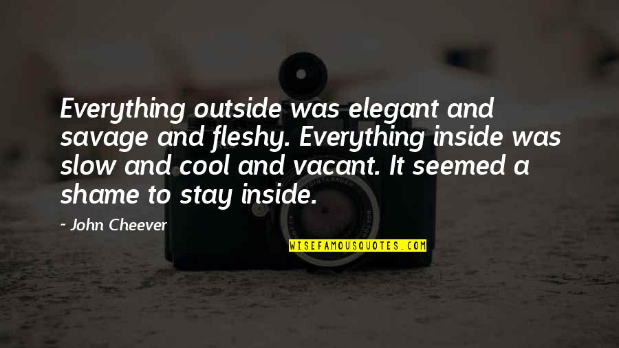 Outside And Inside Quotes By John Cheever: Everything outside was elegant and savage and fleshy.