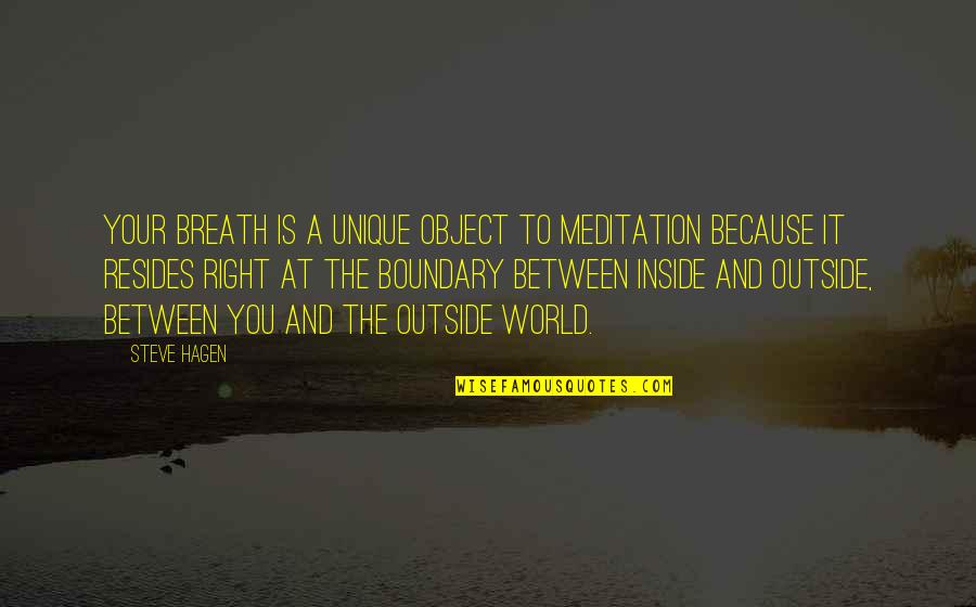 Outside And Inside Quotes By Steve Hagen: Your breath is a unique object to meditation