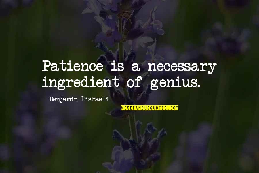 Outsiders Character Quotes By Benjamin Disraeli: Patience is a necessary ingredient of genius. Outsiders Character Quotes By Benjamin Disraeli: Patience is a necessary ingredient of genius.