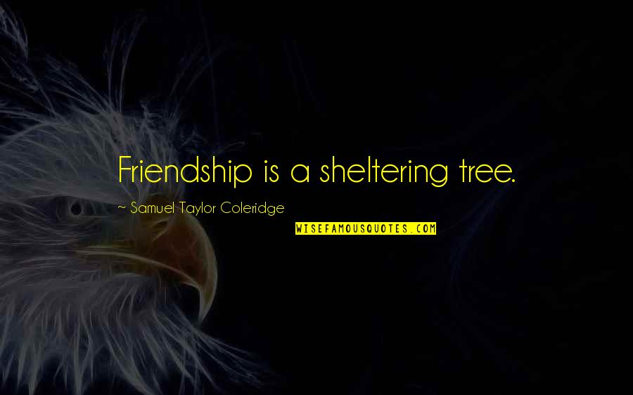 Outstanding Motivational Quotes By Samuel Taylor Coleridge: Friendship is a sheltering tree.