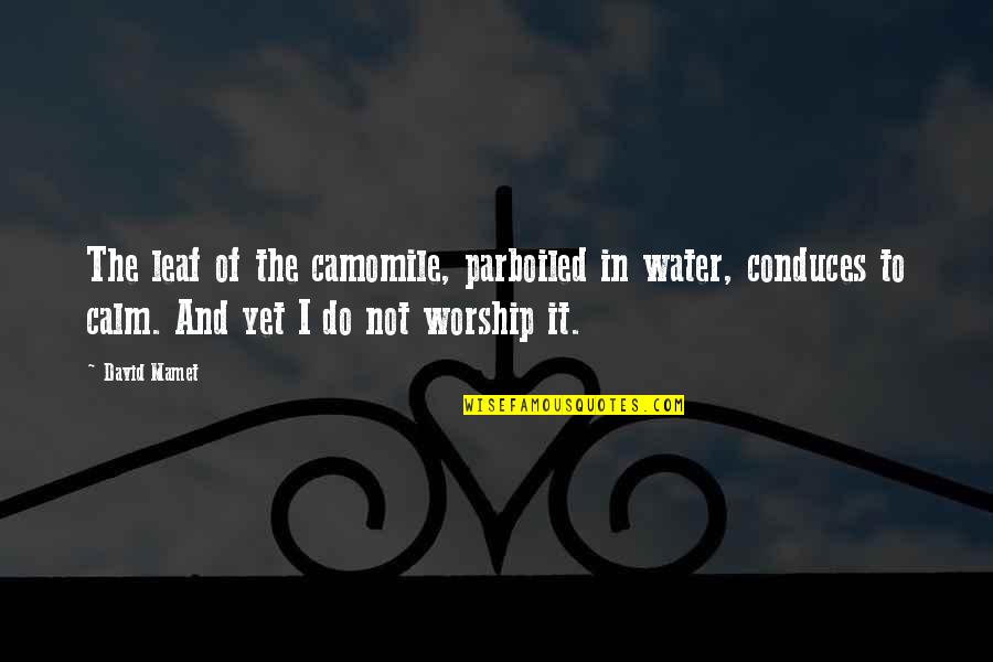 Outwitted Def Quotes By David Mamet: The leaf of the camomile, parboiled in water,