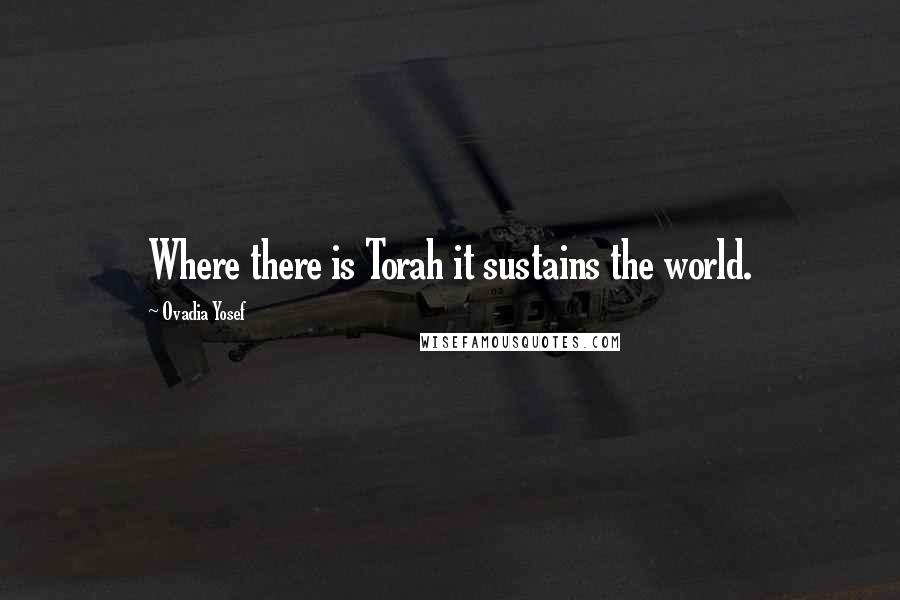 Ovadia Yosef quotes: Where there is Torah it sustains the world.