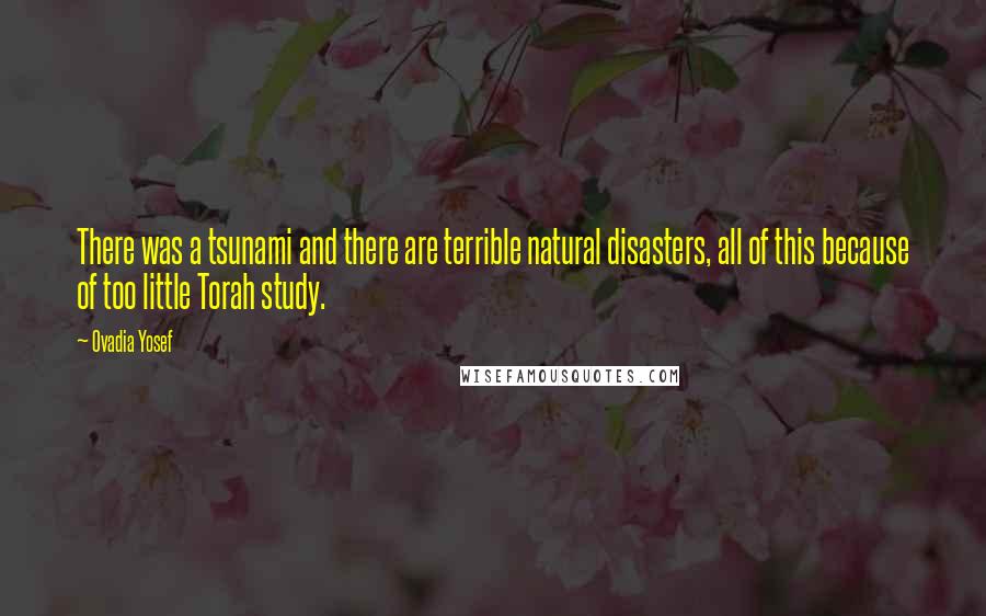 Ovadia Yosef quotes: There was a tsunami and there are terrible natural disasters, all of this because of too little Torah study. Ovadia Yosef quotes: There was a tsunami and there are terrible natural disasters, all of this because of too little Torah study.