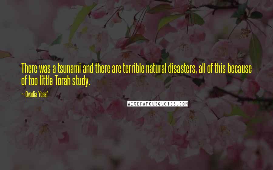 Ovadia Yosef quotes: There was a tsunami and there are terrible natural disasters, all of this because of too little Torah study.