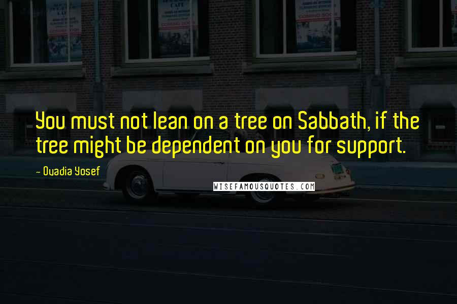 Ovadia Yosef quotes: You must not lean on a tree on Sabbath, if the tree might be dependent on you for support.