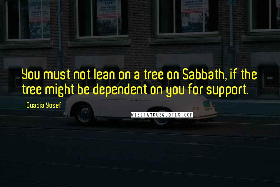 Ovadia Yosef quotes: You must not lean on a tree on Sabbath, if the tree might be dependent on you for support. Ovadia Yosef quotes: You must not lean on a tree on Sabbath, if the tree might be dependent on you for support.