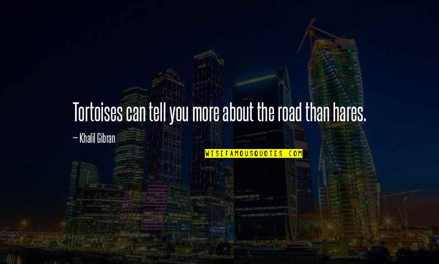 Over Acuteness Of The Senses Quotes By Khalil Gibran: Tortoises can tell you more about the road Over Acuteness Of The Senses Quotes By Khalil Gibran: Tortoises can tell you more about the road
