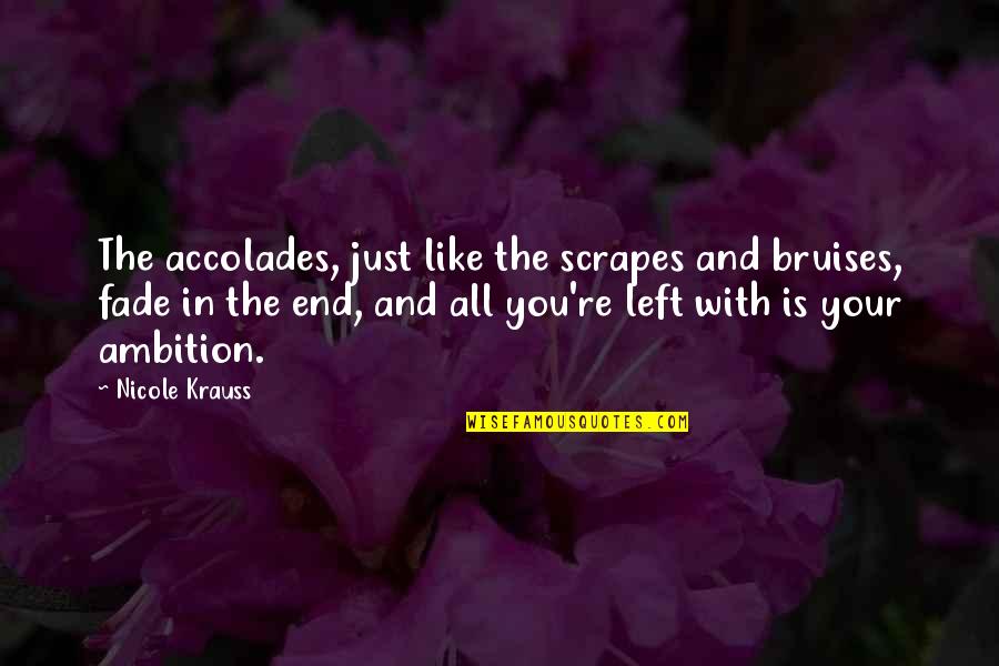 Over Ambition Quotes By Nicole Krauss: The accolades, just like the scrapes and bruises,