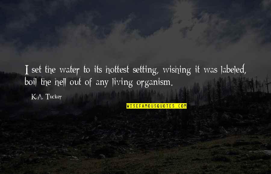 Over Boil Quotes By K.A. Tucker: I set the water to its hottest setting, Over Boil Quotes By K.A. Tucker: I set the water to its hottest setting,