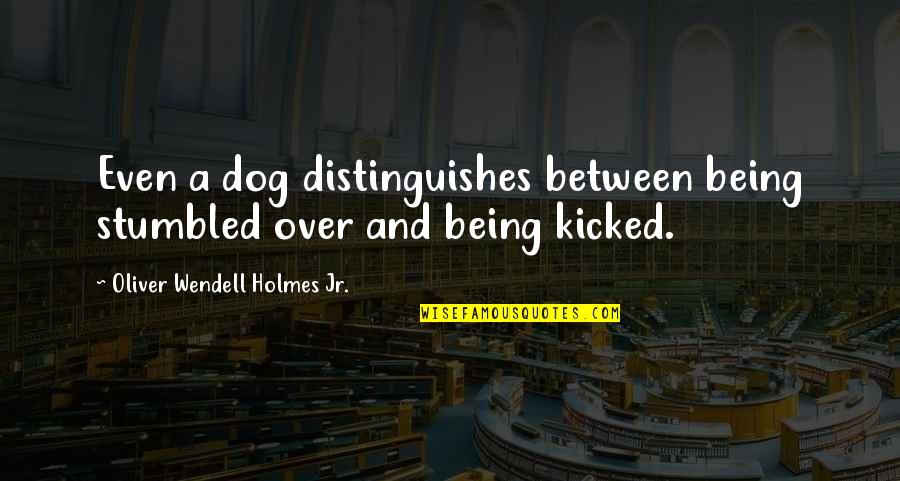 Over Dog Quotes By Oliver Wendell Holmes Jr.: Even a dog distinguishes between being stumbled over