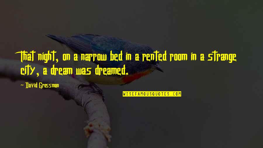 Over Dreamed A Dream Quotes By David Grossman: That night, on a narrow bed in a