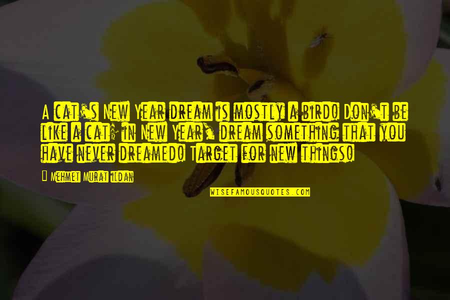 Over Dreamed A Dream Quotes By Mehmet Murat Ildan: A cat's New Year dream is mostly a