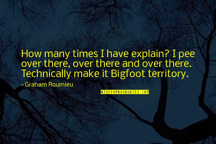 Over Explain Quotes By Graham Roumieu: How many times I have explain? I pee