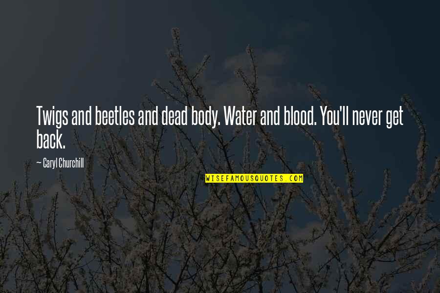 Over My Dead Body Quotes By Caryl Churchill: Twigs and beetles and dead body. Water and