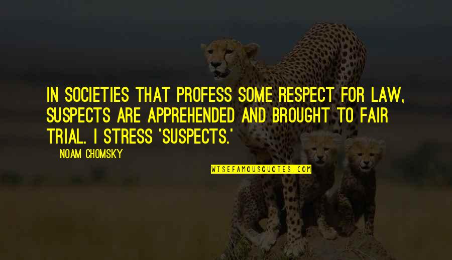 Over Stress Quotes By Noam Chomsky: In societies that profess some respect for law,