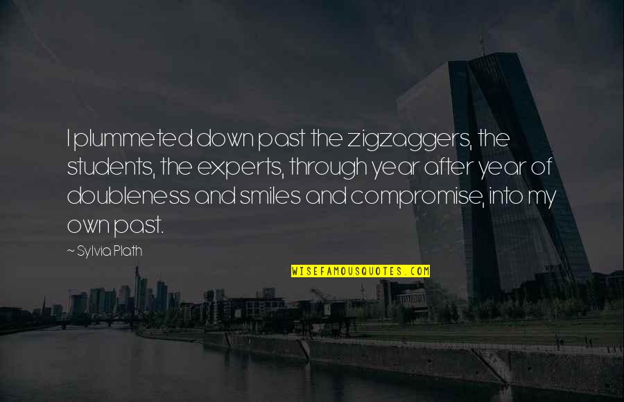 Over The Past Year Quotes By Sylvia Plath: I plummeted down past the zigzaggers, the students,