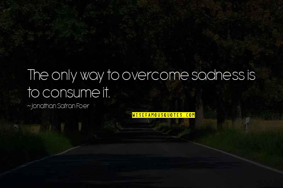 Overcome It Quotes By Jonathan Safran Foer: The only way to overcome sadness is to