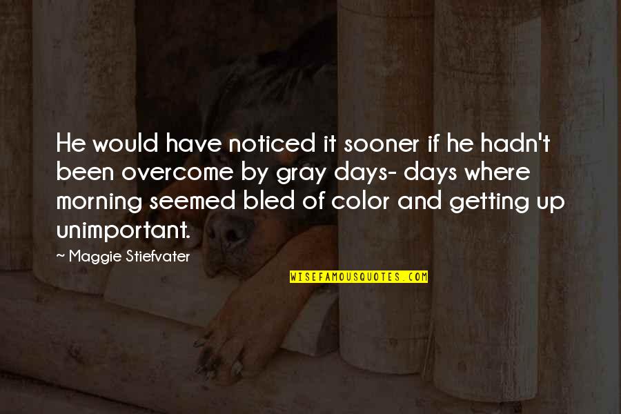 Overcome It Quotes By Maggie Stiefvater: He would have noticed it sooner if he Overcome It Quotes By Maggie Stiefvater: He would have noticed it sooner if he