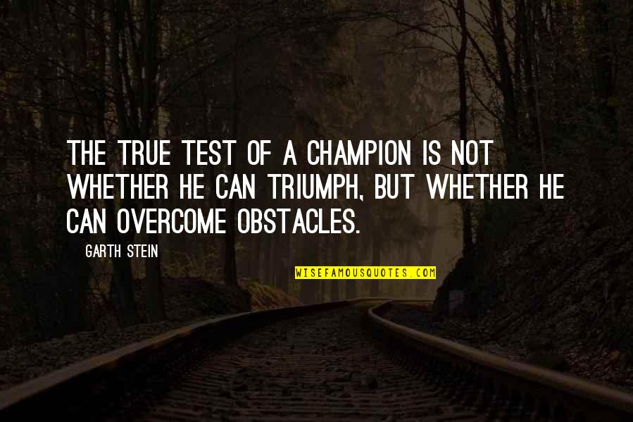 Overcome Obstacles Quotes By Garth Stein: The true test of a champion is not