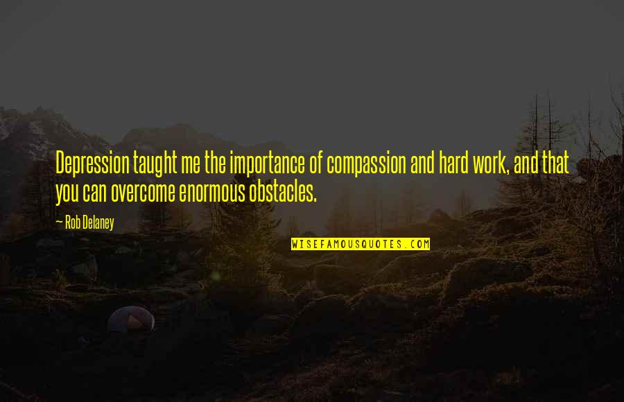 Overcome Obstacles Quotes By Rob Delaney: Depression taught me the importance of compassion and