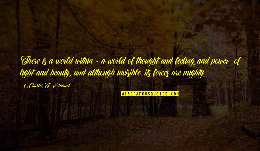 Overcoming Discouragement Quotes By Charles F. Haanel: There is a world within - a world