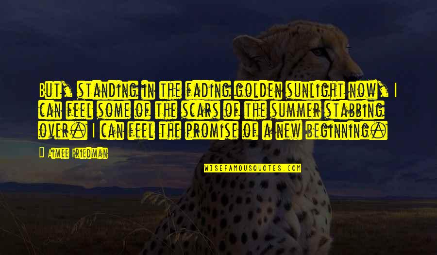 Overcoming Fights With Friends Quotes By Aimee Friedman: But, standing in the fading golden sunlight now,