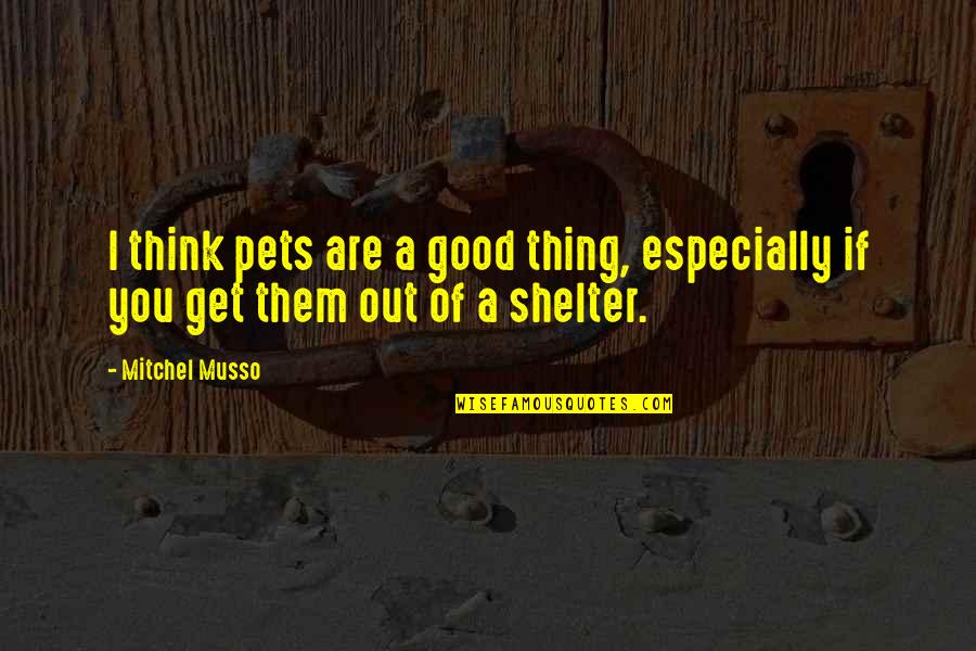 Overcoming Goals Quotes By Mitchel Musso: I think pets are a good thing, especially