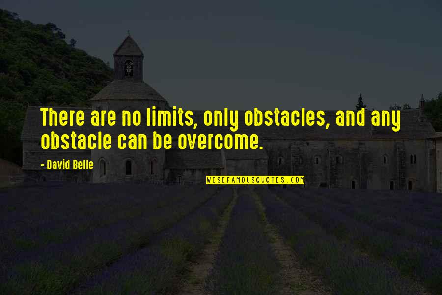 Overcoming Obstacle Quotes By David Belle: There are no limits, only obstacles, and any