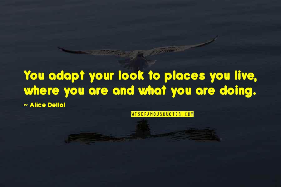 Overemphasis Quotes By Alice Dellal: You adapt your look to places you live,
