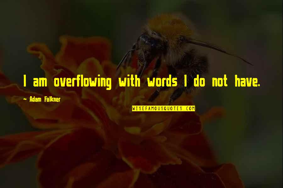 Overflowing Quotes By Adam Falkner: I am overflowing with words I do not