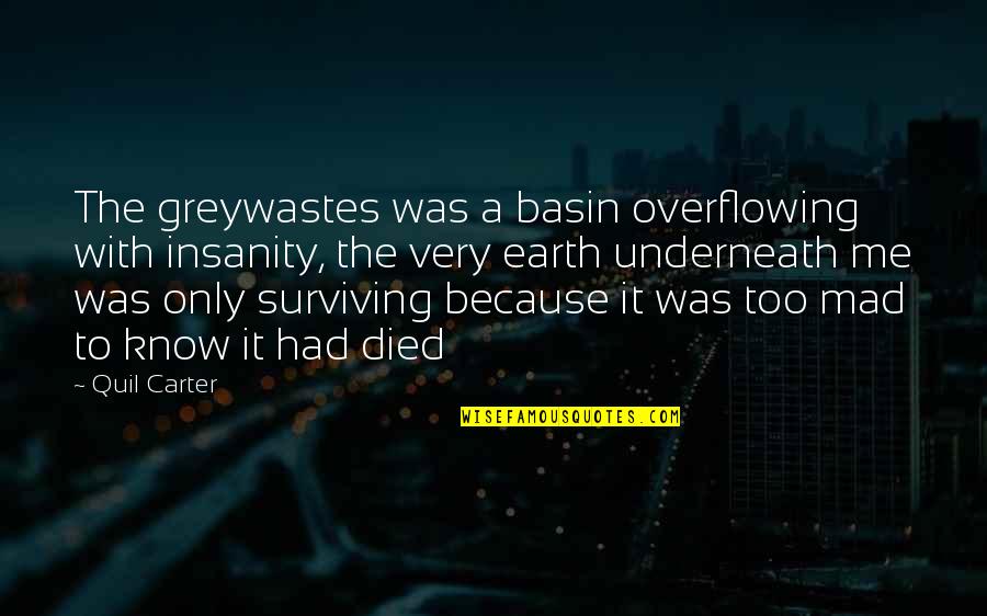 Overflowing Quotes By Quil Carter: The greywastes was a basin overflowing with insanity,