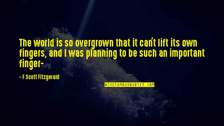 Overgrown Quotes By F Scott Fitzgerald: The world is so overgrown that it can't