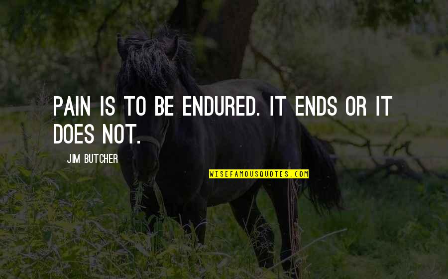 Overinvolved Quotes By Jim Butcher: Pain is to be endured. It ends or Overinvolved Quotes By Jim Butcher: Pain is to be endured. It ends or