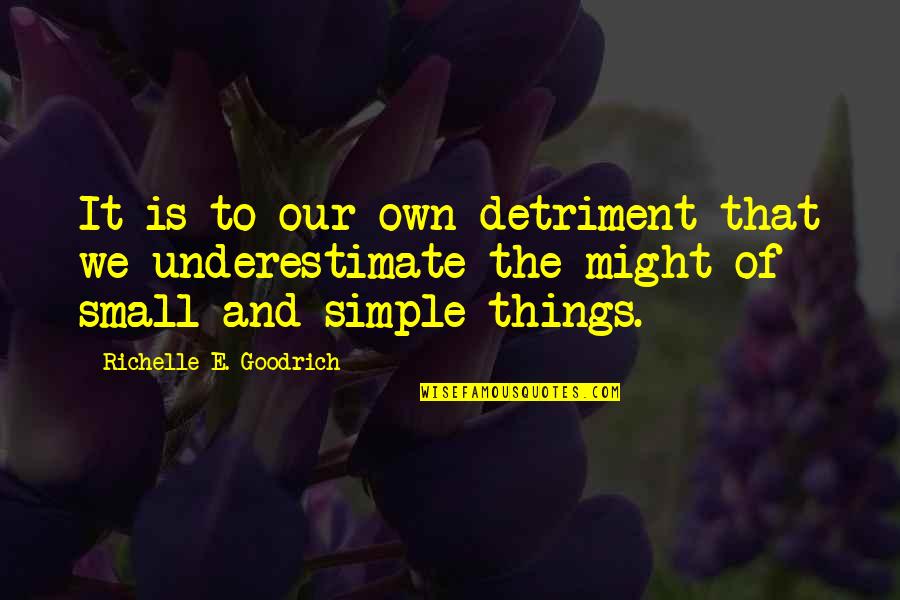 Overlook Quotes By Richelle E. Goodrich: It is to our own detriment that we