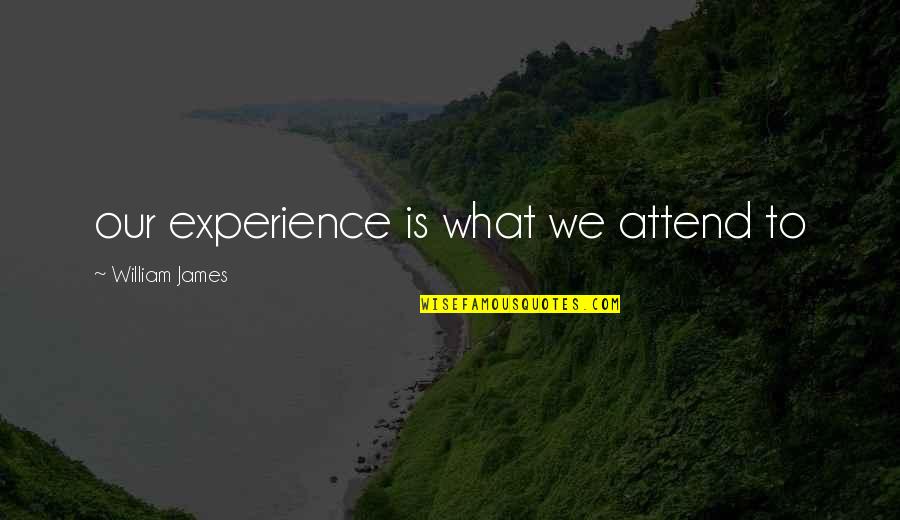 Overmaster Quotes By William James: our experience is what we attend to