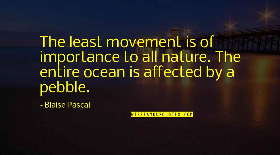 Overnight Sensation Quotes By Blaise Pascal: The least movement is of importance to all