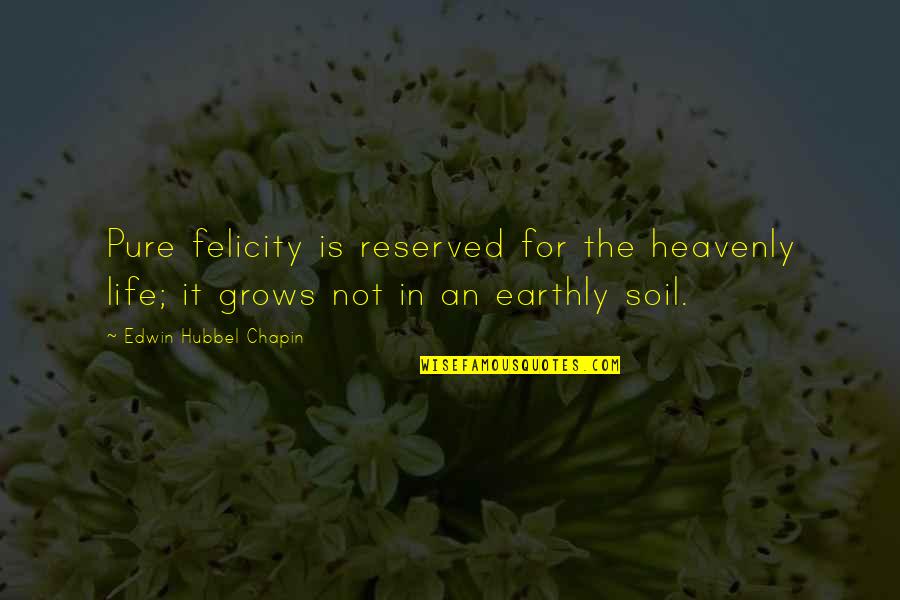Overprotective Dads Quotes By Edwin Hubbel Chapin: Pure felicity is reserved for the heavenly life; Overprotective Dads Quotes By Edwin Hubbel Chapin: Pure felicity is reserved for the heavenly life;