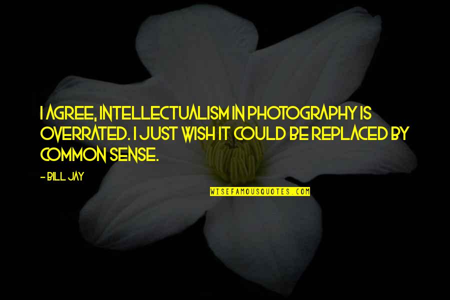 Overrated Quotes By Bill Jay: I agree, intellectualism in photography is overrated. I Overrated Quotes By Bill Jay: I agree, intellectualism in photography is overrated. I