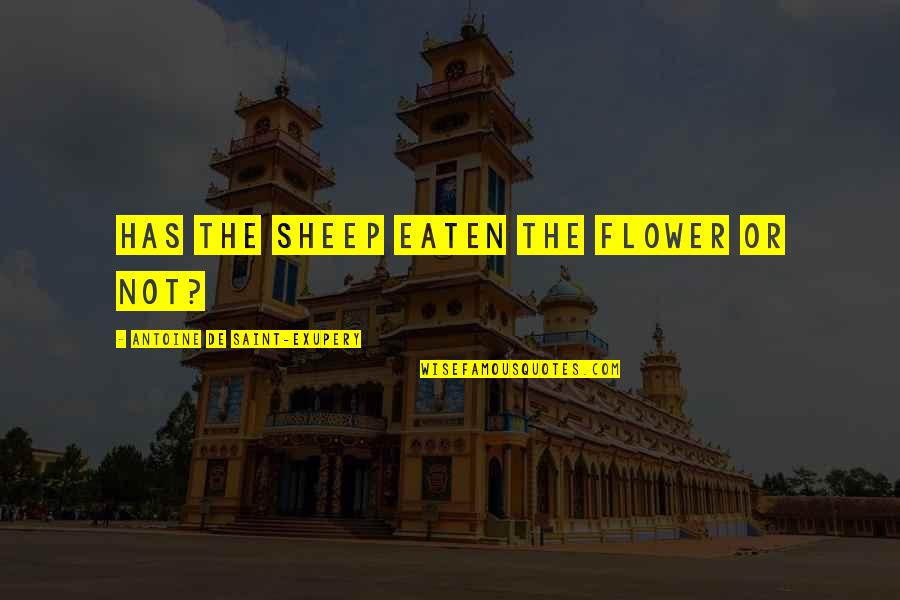 Overseer Synonyms Quotes By Antoine De Saint-Exupery: Has the sheep eaten the flower or not?