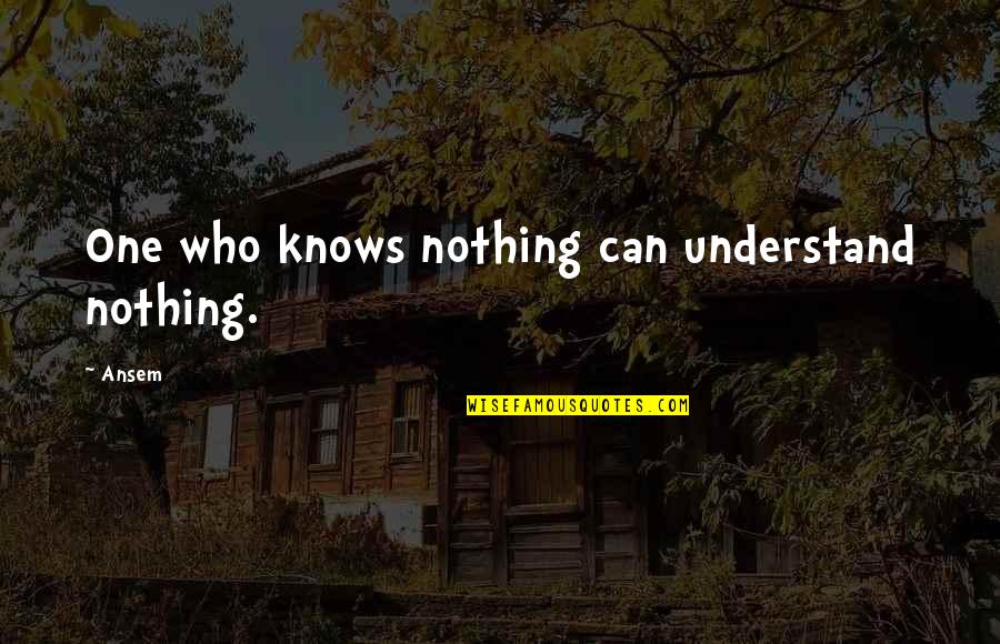Overson Equipment Quotes By Ansem: One who knows nothing can understand nothing.