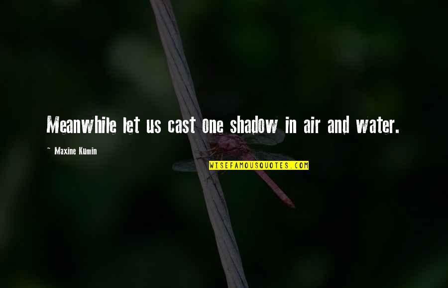 Overspecialized Quotes By Maxine Kumin: Meanwhile let us cast one shadow in air